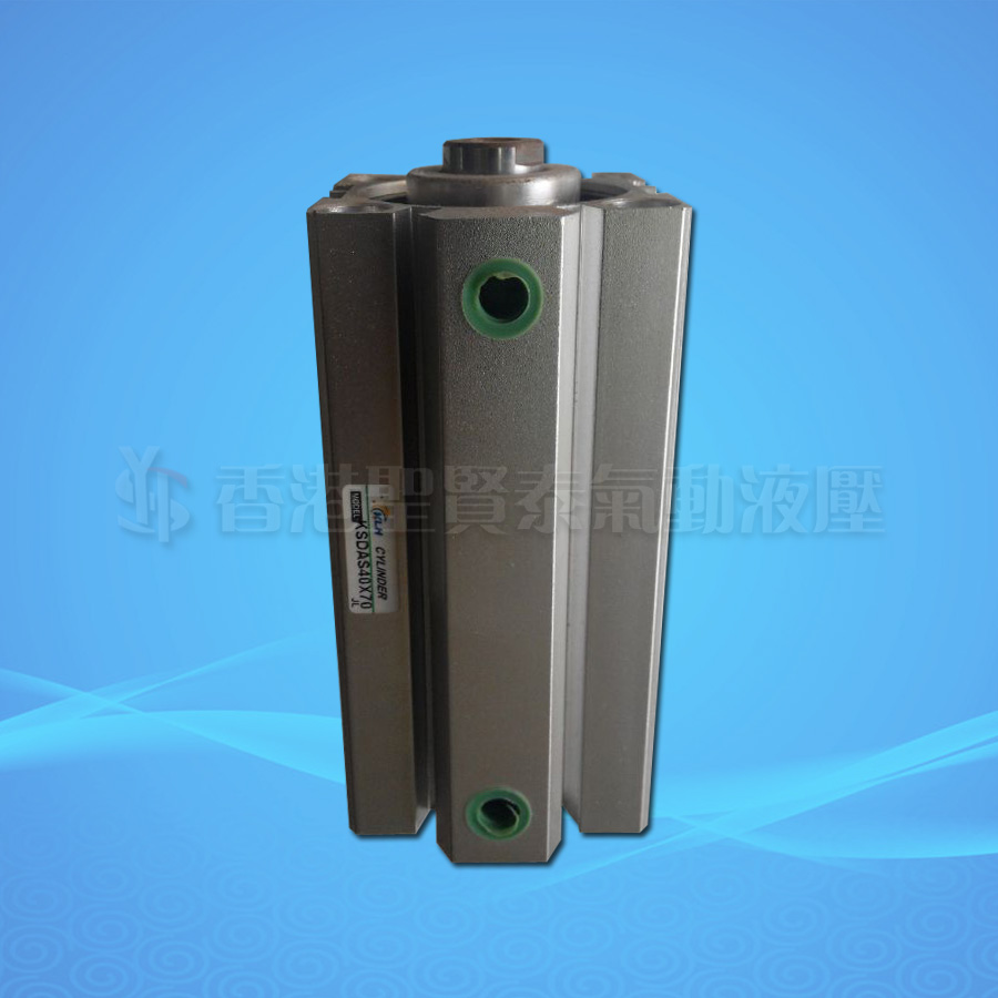 Yad Passenger Type Slim cylinder internal tooth external tooth with magnetic SDA40X100 -BSDAS40X100SDAJ40X100