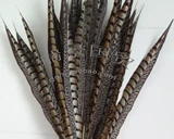 Импортная натуральная бронзовая курица -хвост -опер