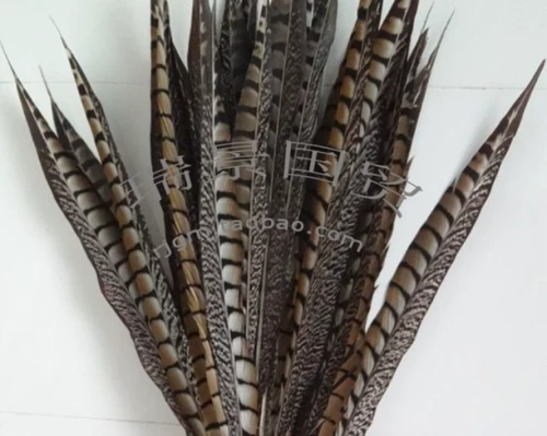 Импортная натуральная бронзовая курица -хвост -опер