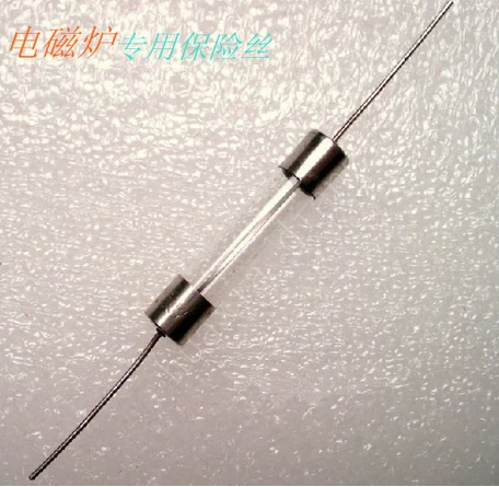 Induction cooker accessories Insurance tube 15A250V 6x30mm with lead wire with pin induction cookout fuse