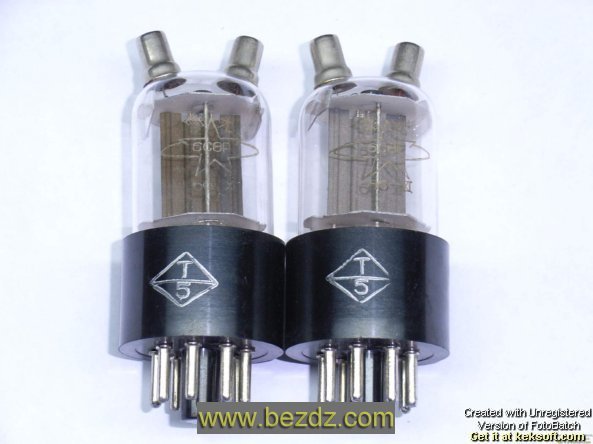 The Bile Duct Vacuum Tube 6C8P Twilight