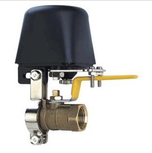 Factory price whole box batch sales household gas pipeline manipulator shut-off valve Gas leak controller