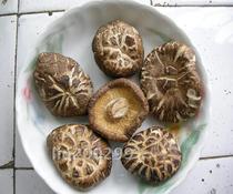 The Farmyard Goods: Jiangxi Tut Property Sourced Farmhouse Special mushrooms Mushrooms Mushrooms Without Root Meat with a Delicate Aroma