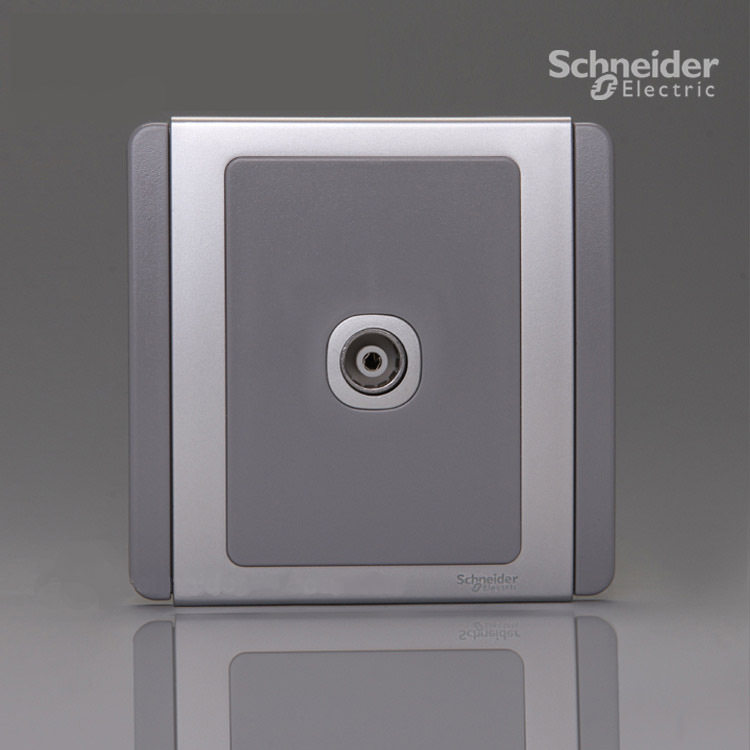 Pearl River Delta 388 above Schneider switch socket panel E3000 series silver and gray single-unit TV