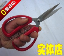 Zhang Koizumi 1#198mm Stainless Steel Home Scissors Office Use Scissors Wholesale Tailor Cut Clothing Cut