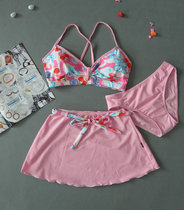 Special cabinet Swimming kit Ginger swimsuit 2853 Split Skirt Swimsuit Special Price