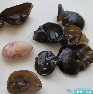 Yunnan specialty Lijiang wild fungus black fungus autumn ear 50g boiled hot pot cold sauce can buy 3 servings