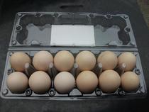 12 medium egg trays Wood eggs plastic trays blister packaging box nest diameter 44mm