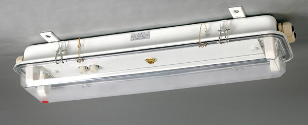 Marine fluorescent cabin suction JCY42-2 JCY42-2 JCY42-2E JCY42-2EF JCY42-2EF lamp floodlight direct
