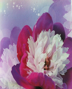 Color art digital materials --- A3 inkjet printing Xuan paper