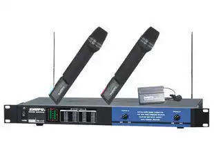 Shupu Wireless Microphone Wireless Microphone SM-2138