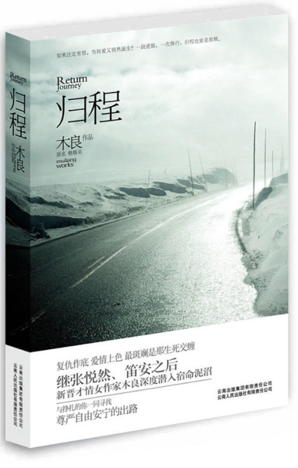 正版包邮《归程》正品图书书籍
