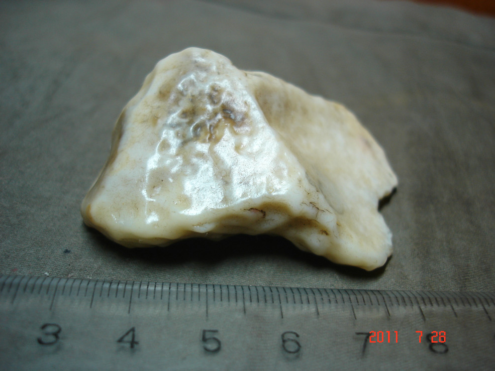 488 Rob Po protein stone