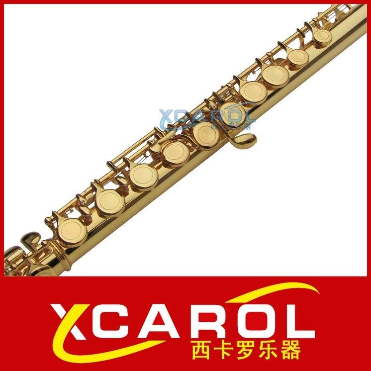 Professional performance level 16 closed hole plus E-key flute instrument general beginner test FL-218A gilded test