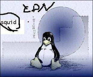 Website speeds up squid reverse proxy high-merge configuration-cdn architecture