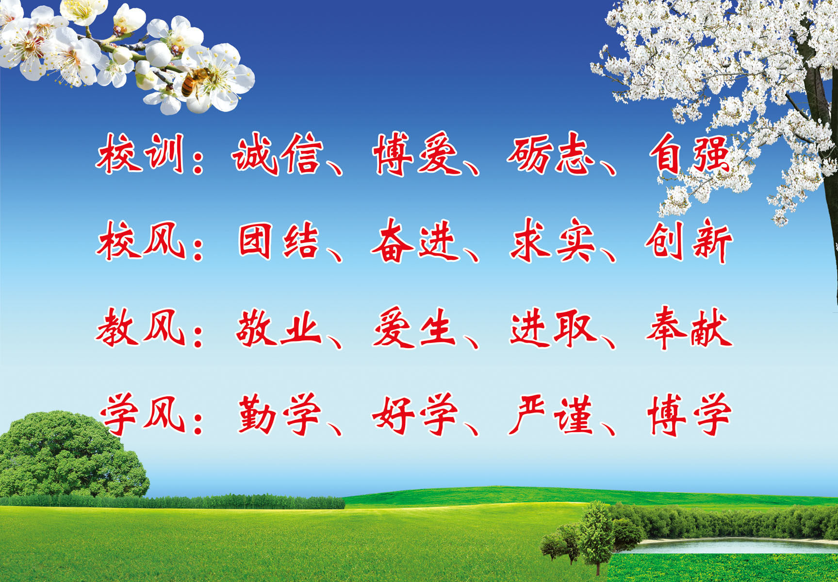 647海报印制展板素材443学校文化校风校训