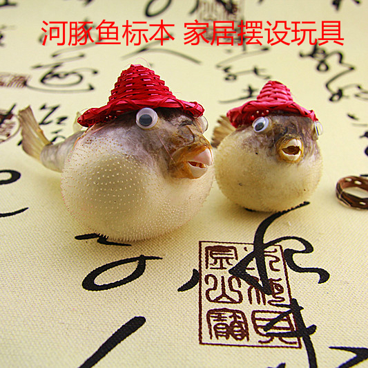 Hot sale Angry Birds Puffer Fish Specimen Guiyu Fish Skin Toy Tourist Souvenir Children's Toy Gift