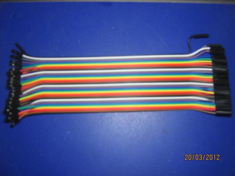 Color Dupont line length 20 cm 40P 12 12 brass wire 2 54 pitch double head rubber shell