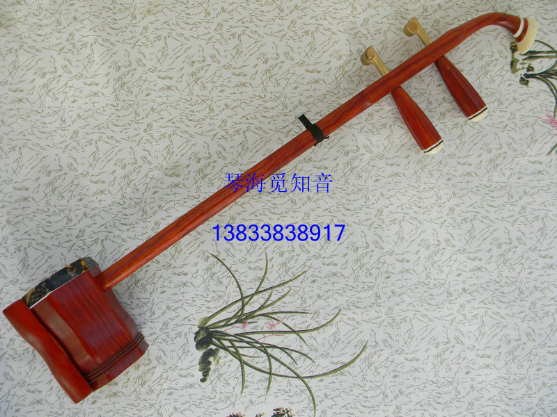 Factory direct sale erhu children erhu children's copper shaft erhu mahogany copper shaft children erhu gift box