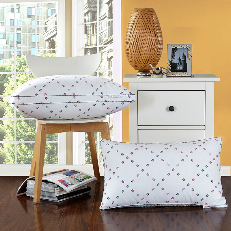 �������ﵥ����˿����оZT10