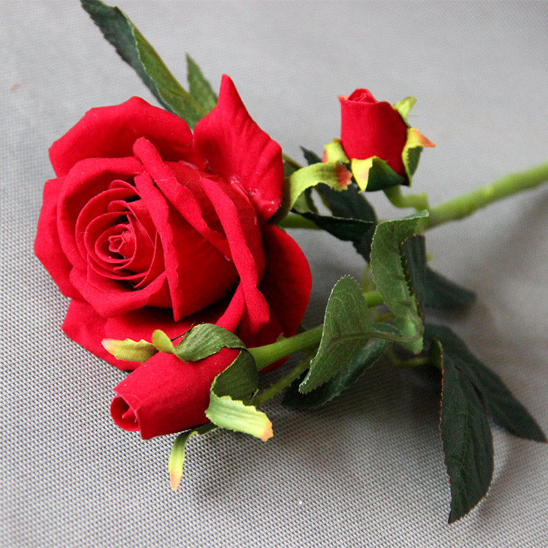 �������ڷ���õ�廨һ������õ��