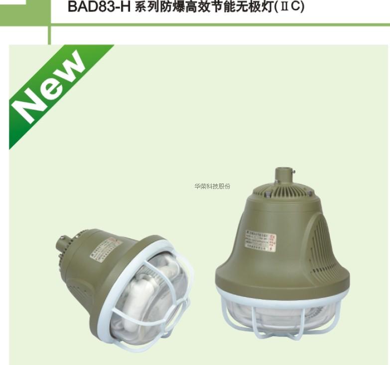 Shanghai Huarong explosion-proof high-efficiency energy-saving electrodeless lamp BAD83-H50 HRD83-H