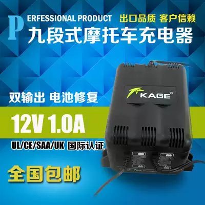 Capgemini dual four-wire output smart locomotive battery charger with repair function 12V