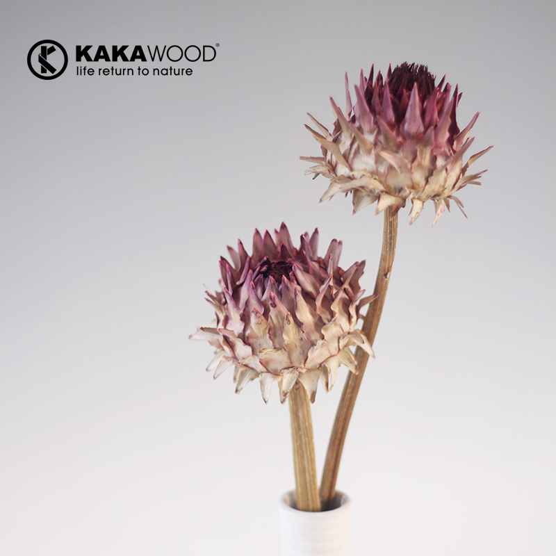 kakawood��ŷ��ʽ�ߵ� ֲ��ɻ�