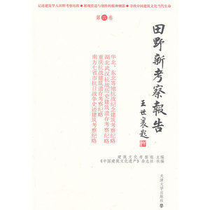 田野新考察报告（第四卷）