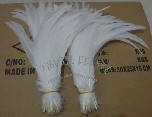 Заводские прямые продажи импортированные белые петухи 30-35 / 35-40 / 40-45 см.