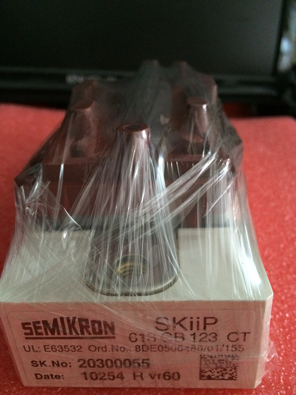 Disassembly original SKIIP613GB123CT SKIIP613GB1172CT SKIIP513GB173CT