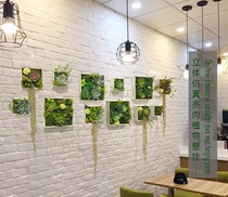 Simulated plant fleshy wall green plant creative background wall restaurant decoration wall wall decoration porch Wall pendant