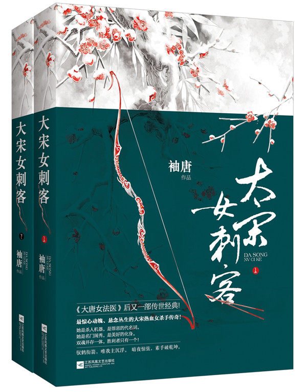 正版包邮大宋女刺客 出版社库存图书  显旧