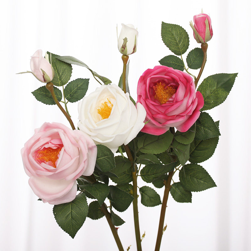 �������õ�廨F1015