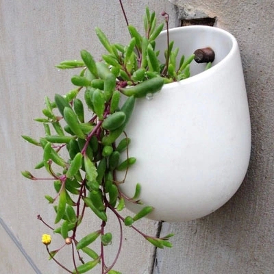 Creative White Ceramic Hanging Egg-Shaped Vase, Cute Small Flower Vase, Small Hanging Vase, Succulent Flower Container, Hydroponic Hanging Flower Pot Creative White Ceramic Hanging Egg-Shaped Vase, Cute Small Flower Vase, Small Hanging Vase, Succulent Flower Container, Hydroponic Hanging Flower Pot