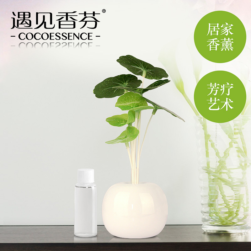 遇见香芬无火香薰精油套装藤条干花 室内家用香薰瓶 房间香水