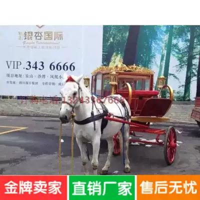 Promotional rental European wedding wedding Royal carriage scenic spot sightseeing and leisure exhibition pumpkin car Electric