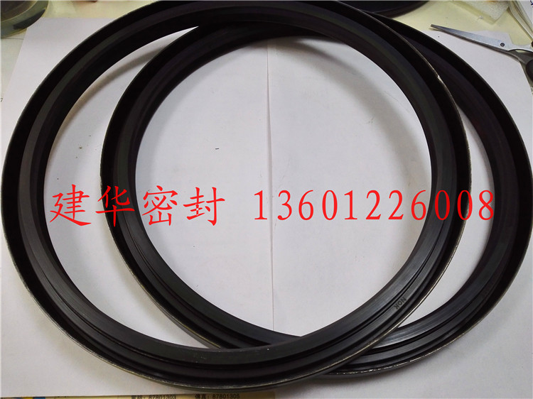 Japanese NOK standard TB 252*287*21 plate BW5856E exposed iron shell double spring skeleton Oil Seal