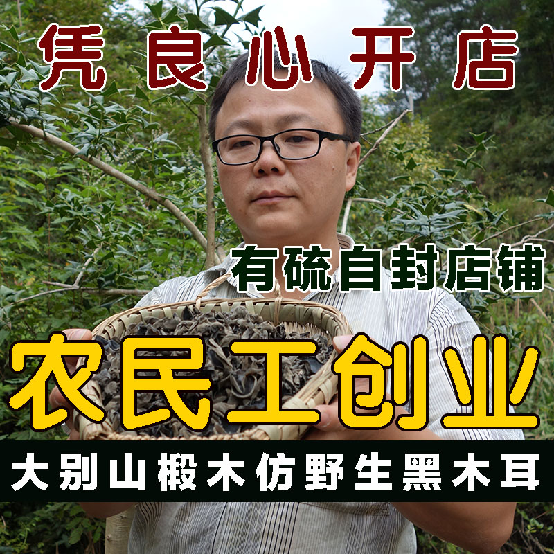 Large Beishan Farmhouse Black Agaric Imitation Wild Small Bowl Ear Linden Wood Autumn Ear Without Root Black Fungus 70 gr