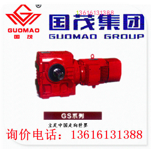 Special Pin Changzhou Guomao Cathay Pacific Speed Reducer Group Gmbh GS Series Skew Gear GSAF100
