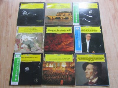 The owner recommends 12 inch vinyl old record DG rhubarb label Classical opera piano symphony and other 5 random hair