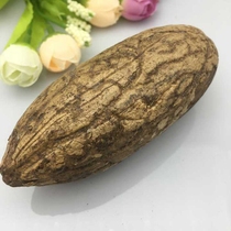 Thousand-eyed Bodhi raw seed handlework large fine single red and green white fruit big Bodhi fruit Bodhi seed raw seed