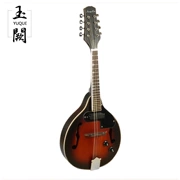 Nhạc cụ phương Tây mandolin mandolin 8 dây đàn mandolin màu hoàng hôn có thể được khuếch đại bằng điện âm