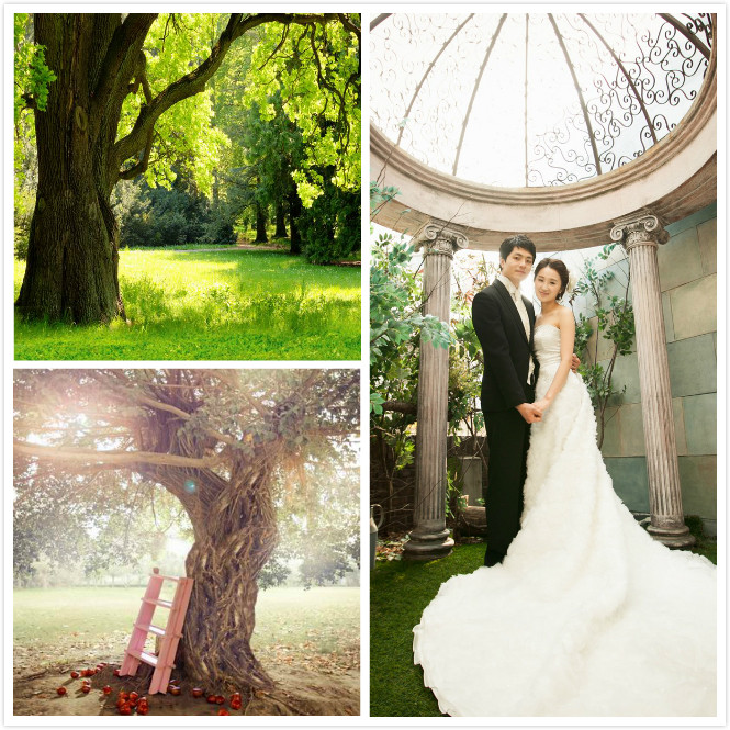 New Outdoor Landscape Photo Gallery Themed Wedding photography background lovers Write a real photo shoot background
