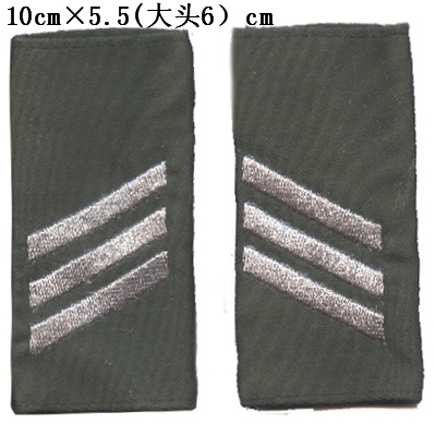Active German Army Epaulets