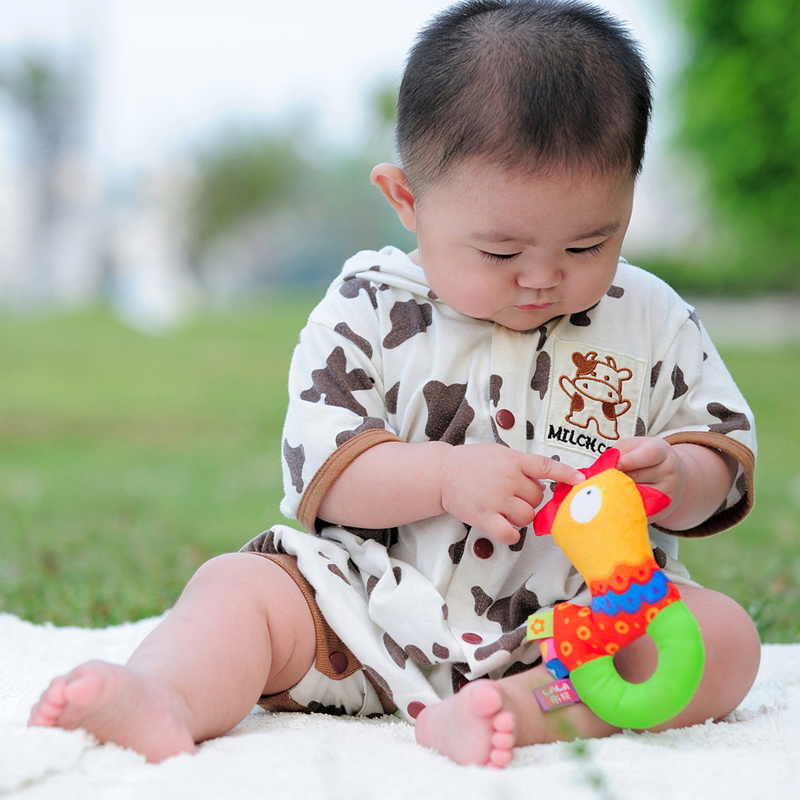 当当网百货 Lalababy 拉拉布玩 手握系列 咯咯鸡手摇