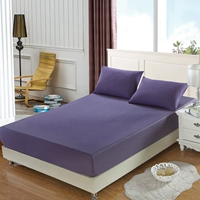 Tinh khiết giường bông bộ giường Li mảnh bông nệm bìa bedspread Simmons nắp bảo vệ 1,8 mét 1.2m1.5 - Trang bị tấm ga chun bọc giường spa