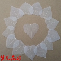 Dried flowers natural leaves Bodhi leaves Diamond leaves props specimens natural leaves Magnolia heart-shaped veins