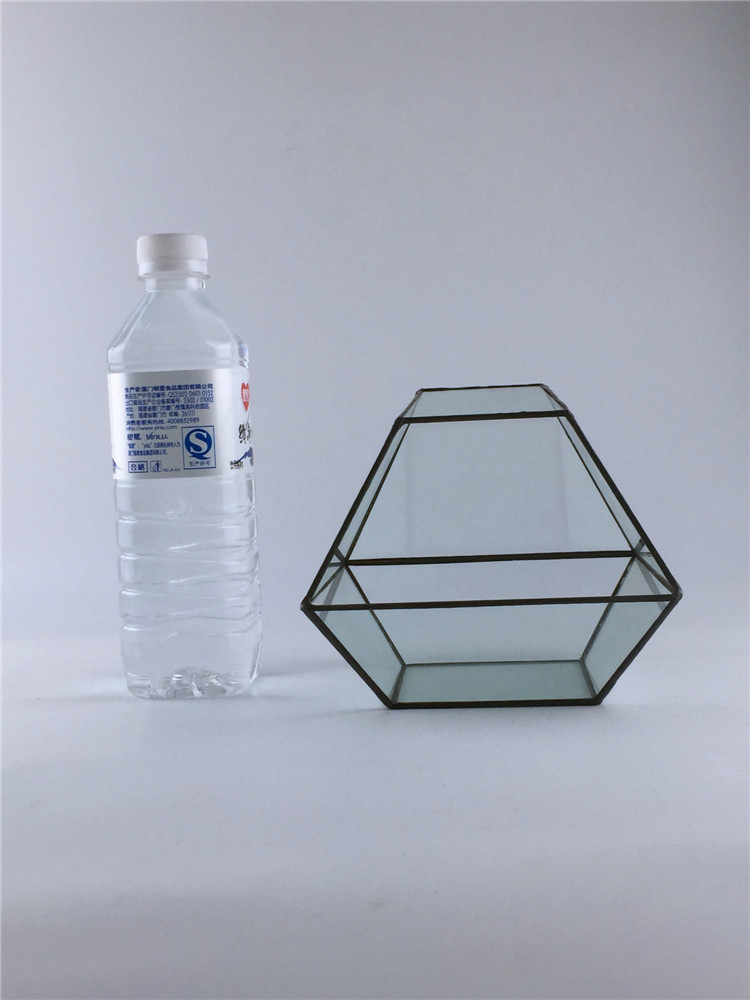 Inclined opening four sides drill glass flower house transparent creative multi-meat plant flower pots wholesale mosaics micro-landscape home swing decoration