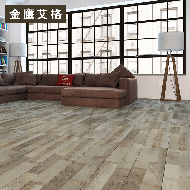 ��ӥ����ǿ�����ϵذ�DQ1605